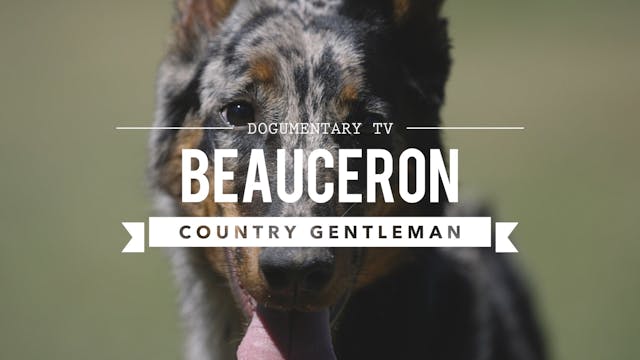 ALL ABOUT THE BEAUCERON