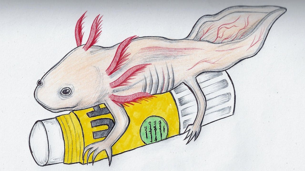 Death of an Axolotl