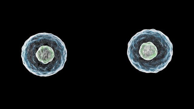 Cellular Proliferation