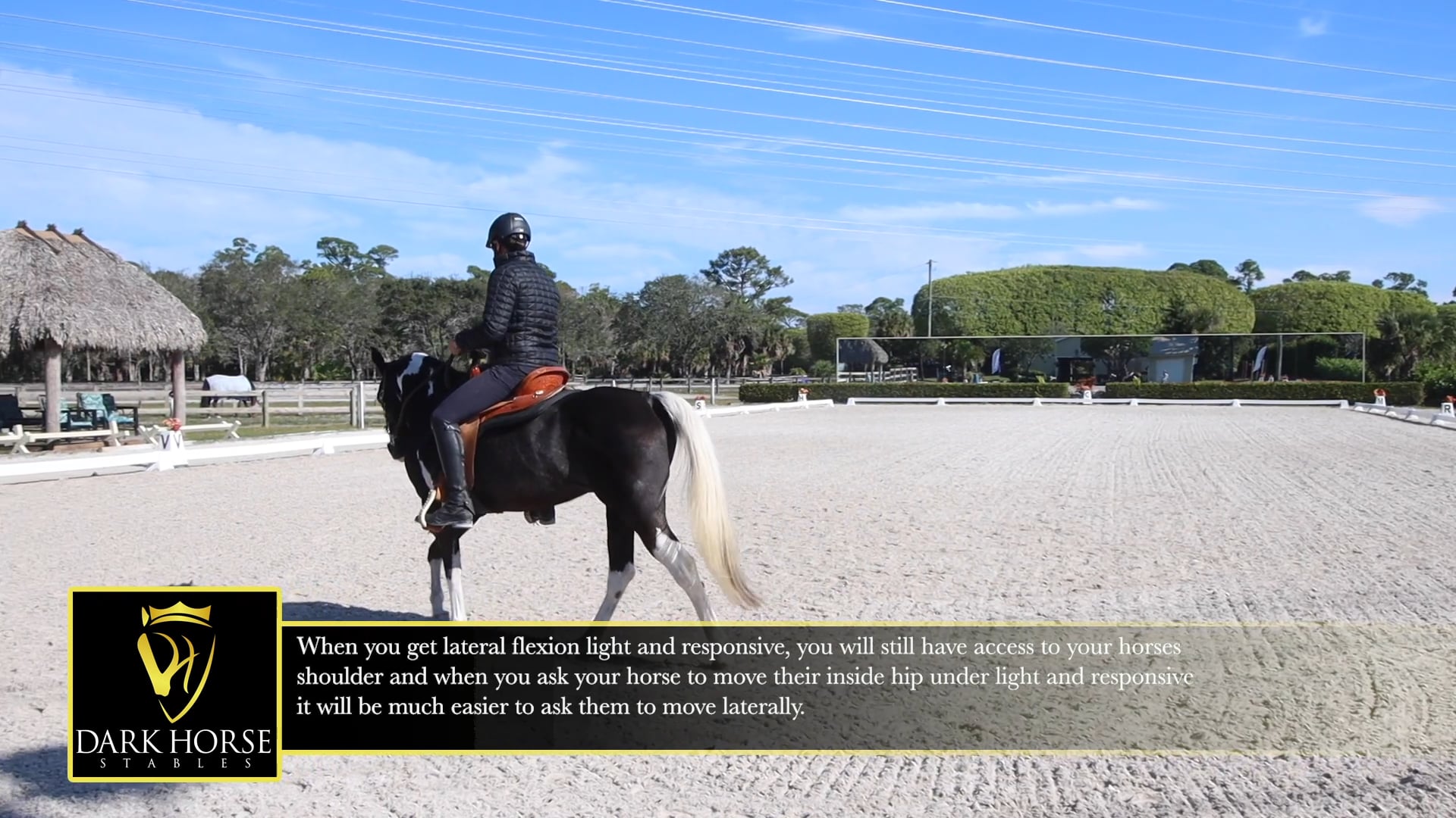 Continuing to work on lateral flexion and moving their hind in relaxation