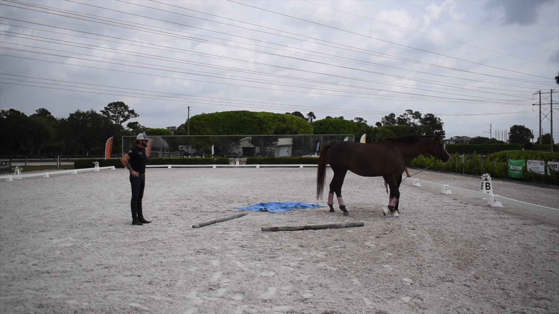 Cavalia building confidence part 4