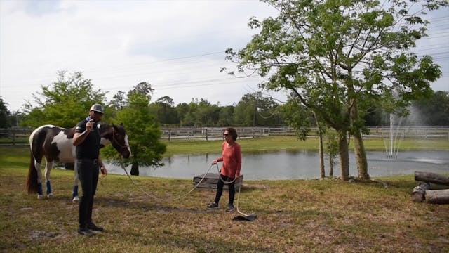 Cherry and Sierra hand grazing and ha...