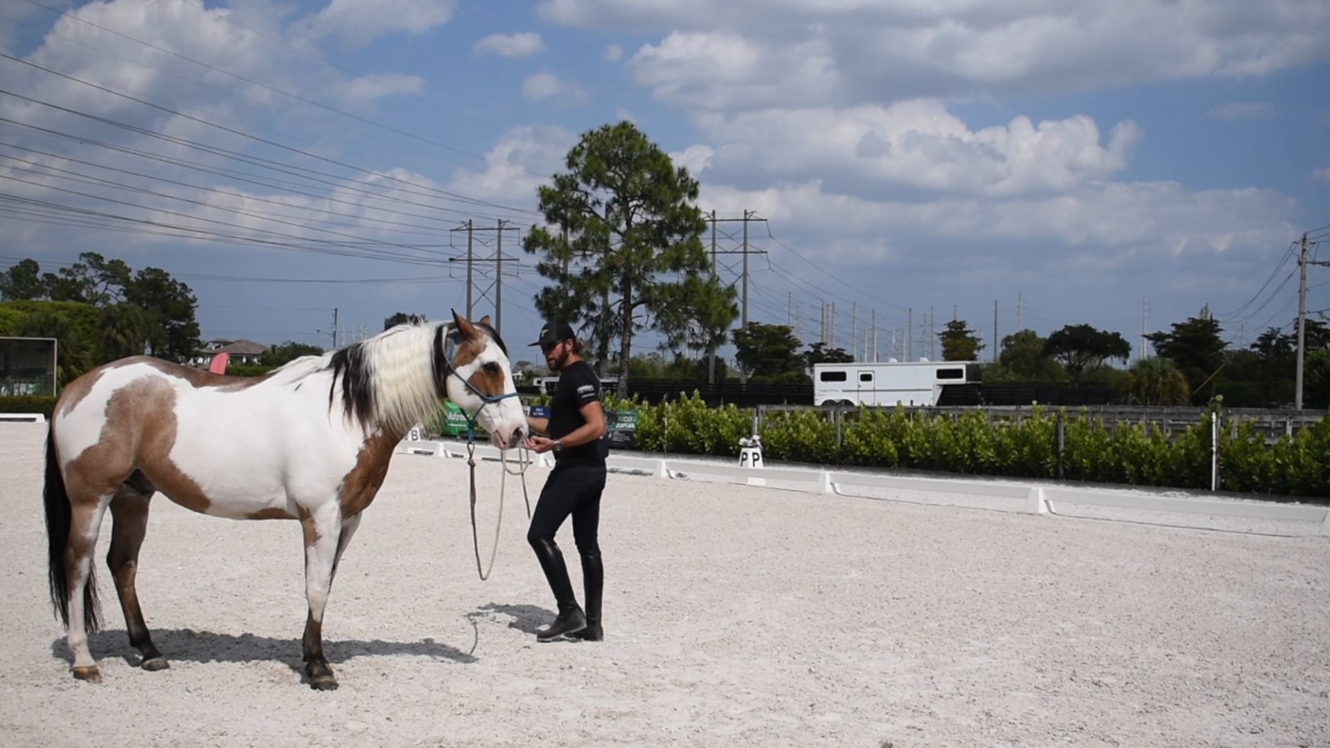 Learning to Lead Green Horse 