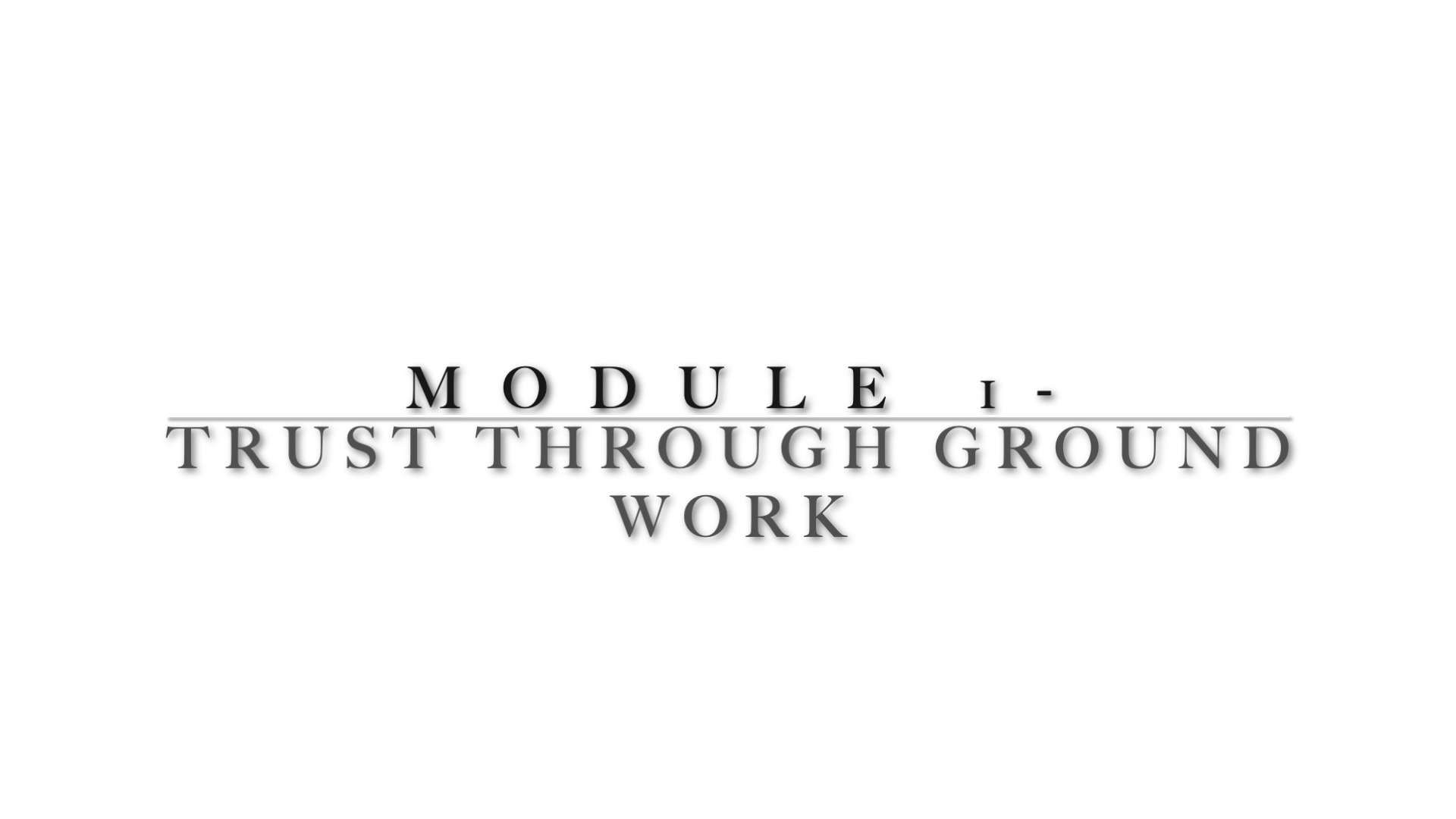 Module 1 -  Relationship Building w/ Young or Inexperienced Horses - Ground Work