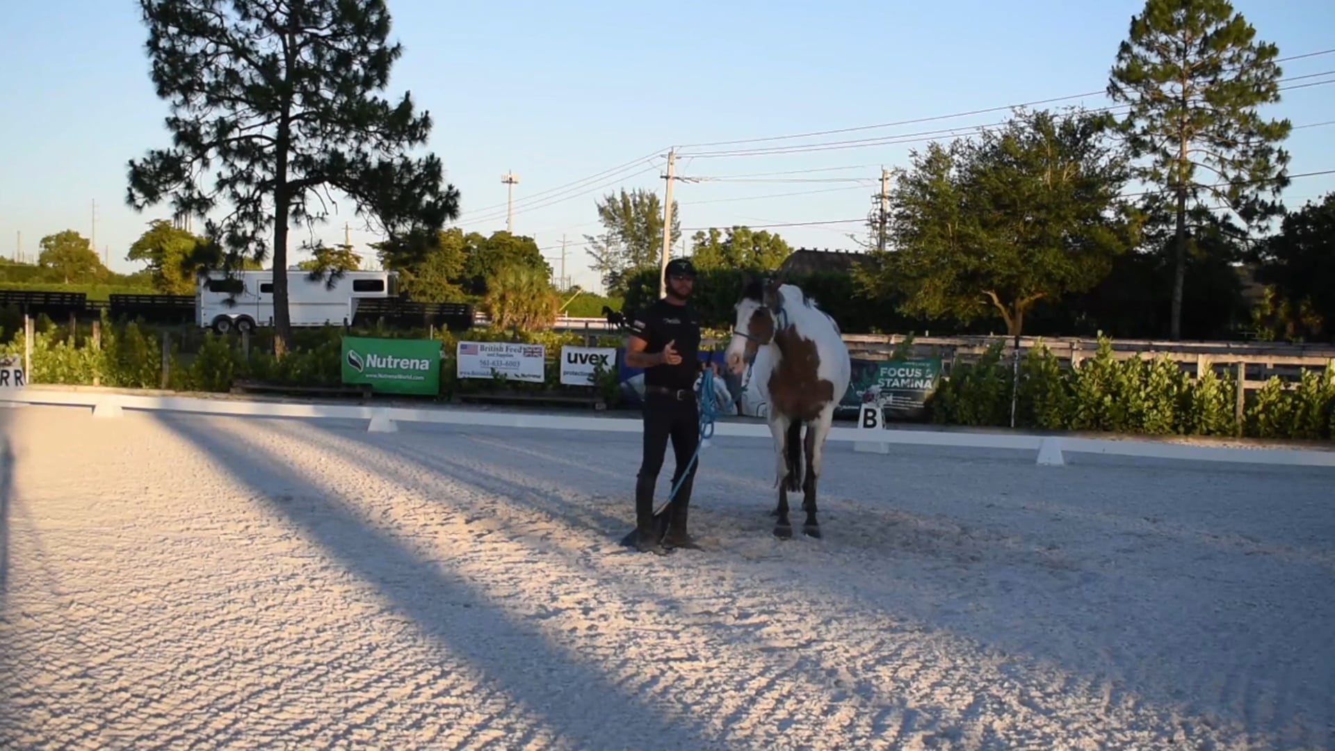 Yielding Con't Part 3 Green Horse