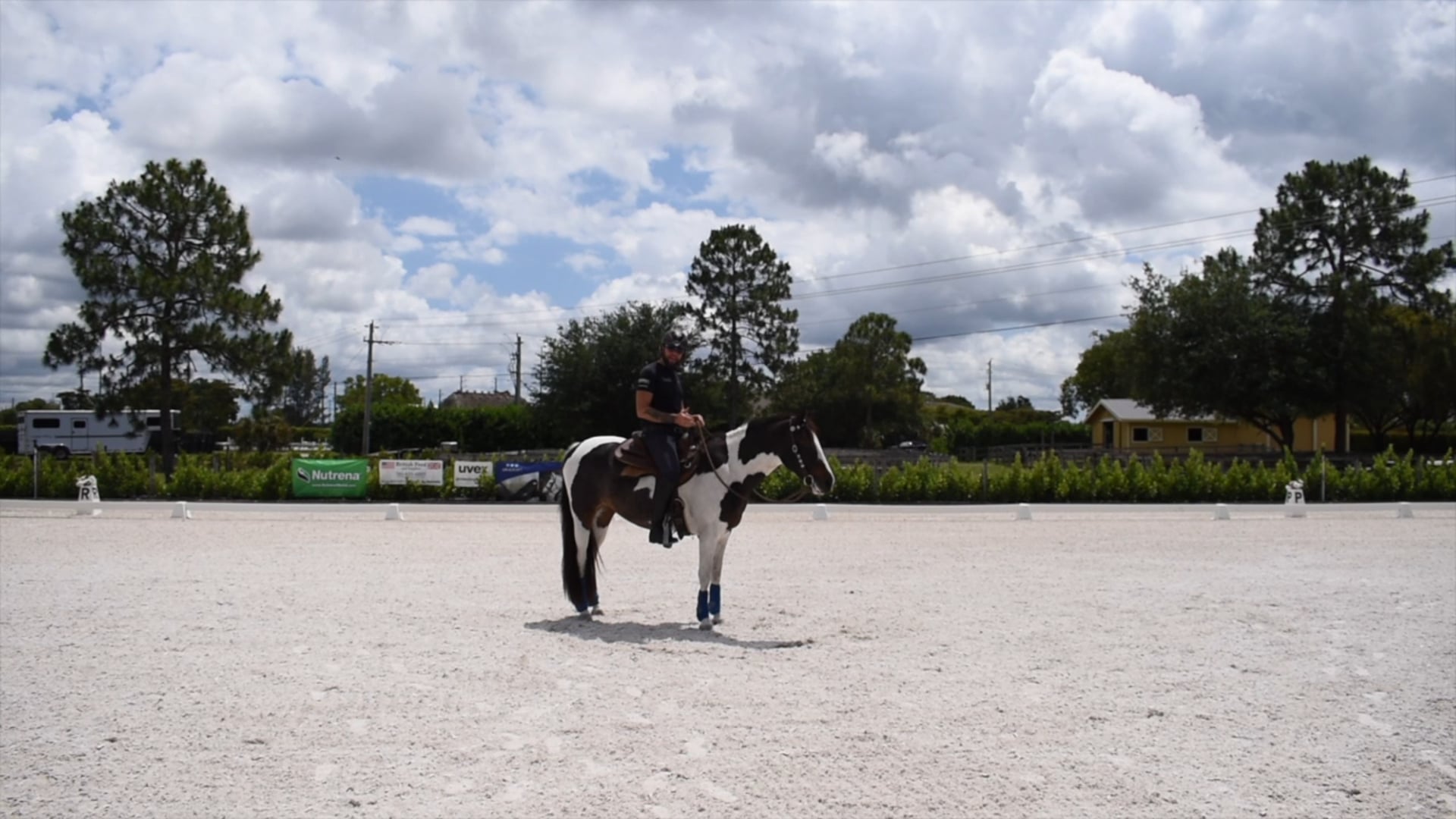 Sierra Yielding her neck and hind quarters 
