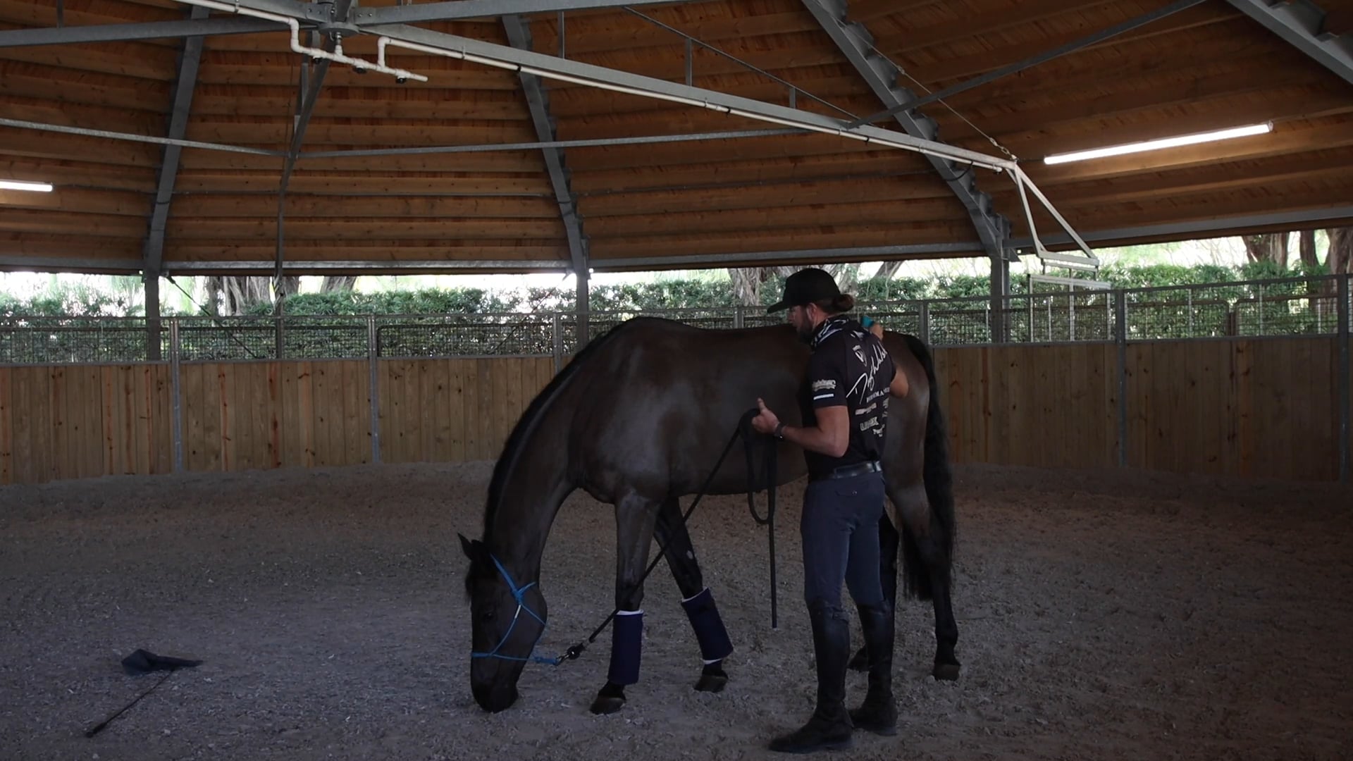 Special Learning that Clippers are Okay