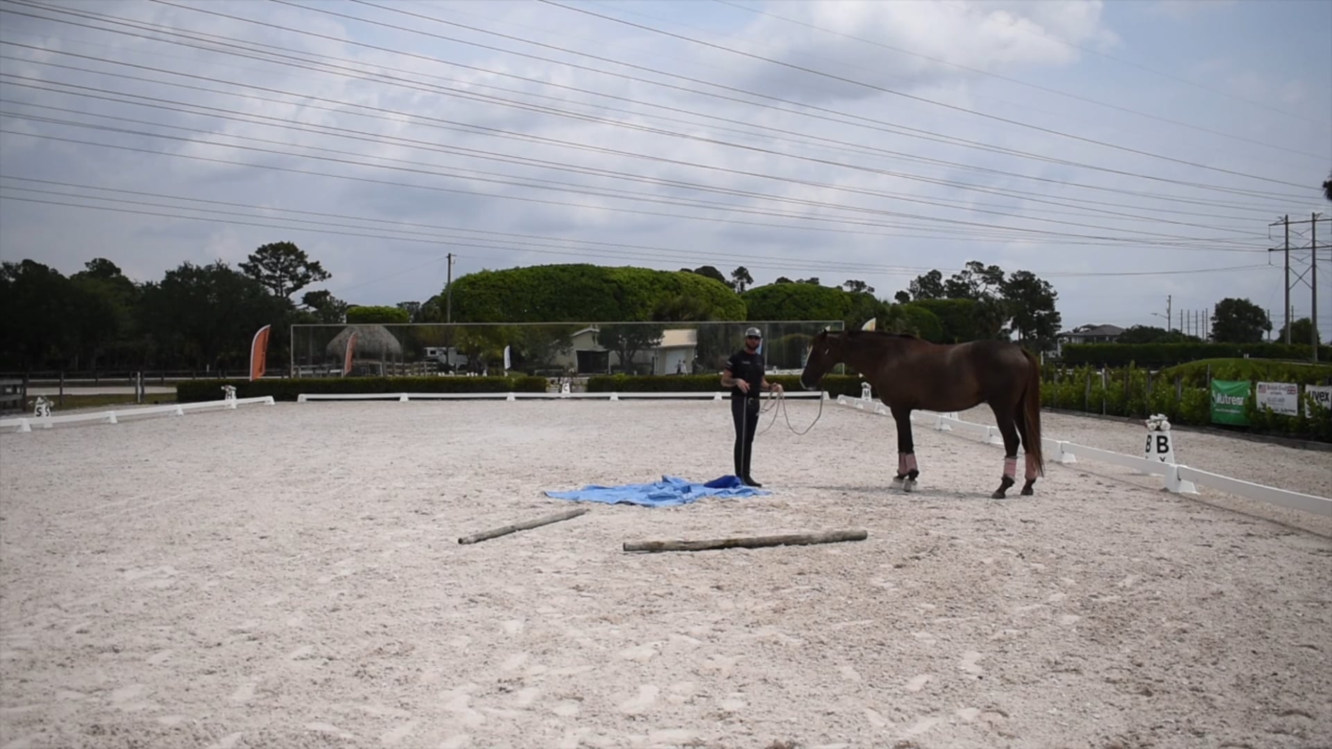 Cavalia Building Confidence part 5 