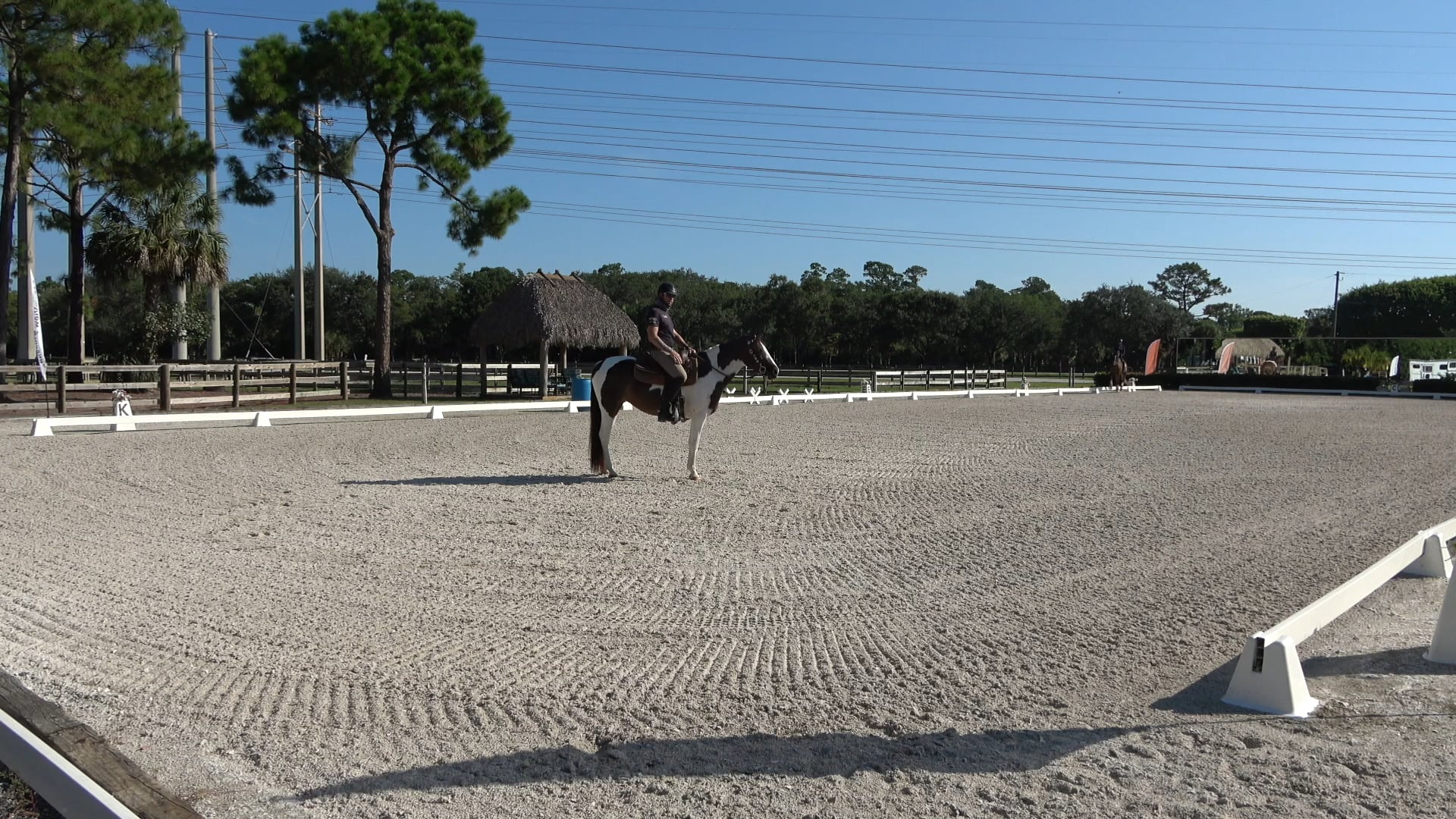 Understanding your riders position 