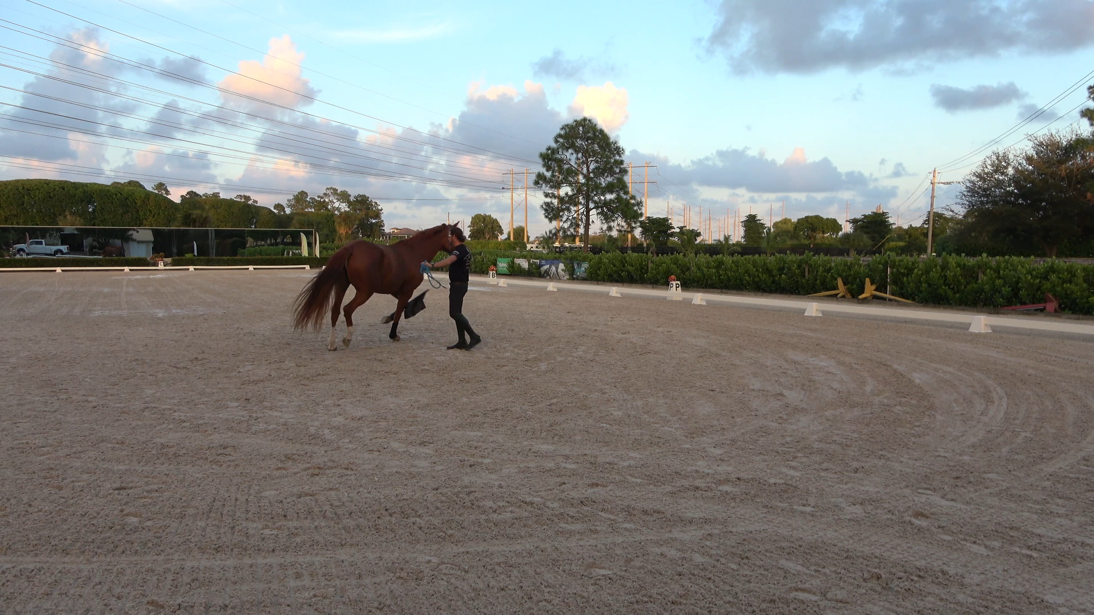 Raya's Journey Part 3 