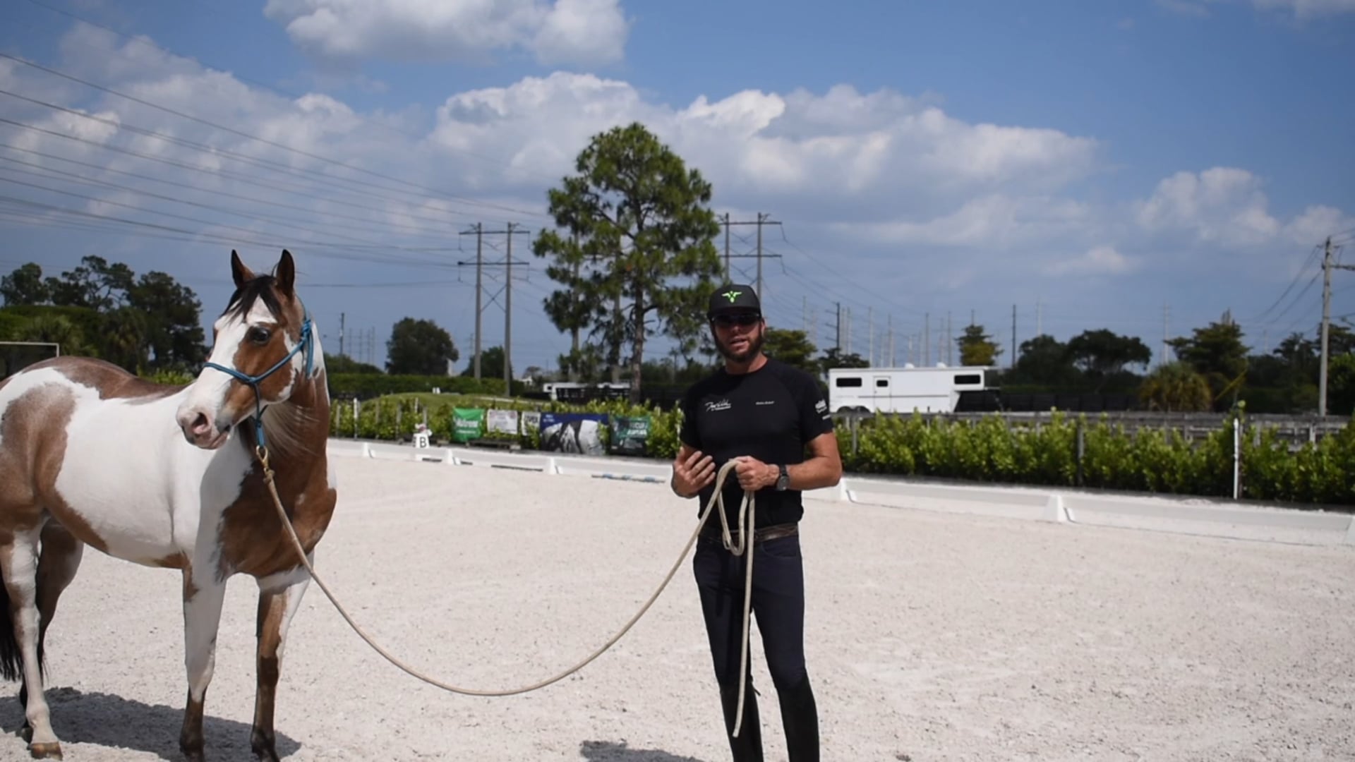 Respecting Space Green Horse 