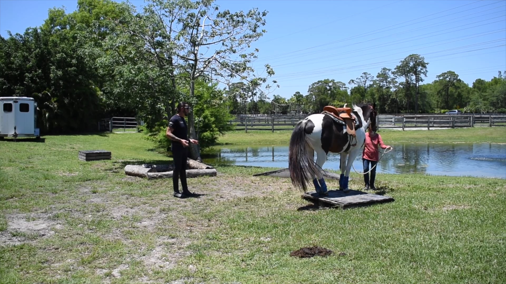 learning how to have access to your horses movement