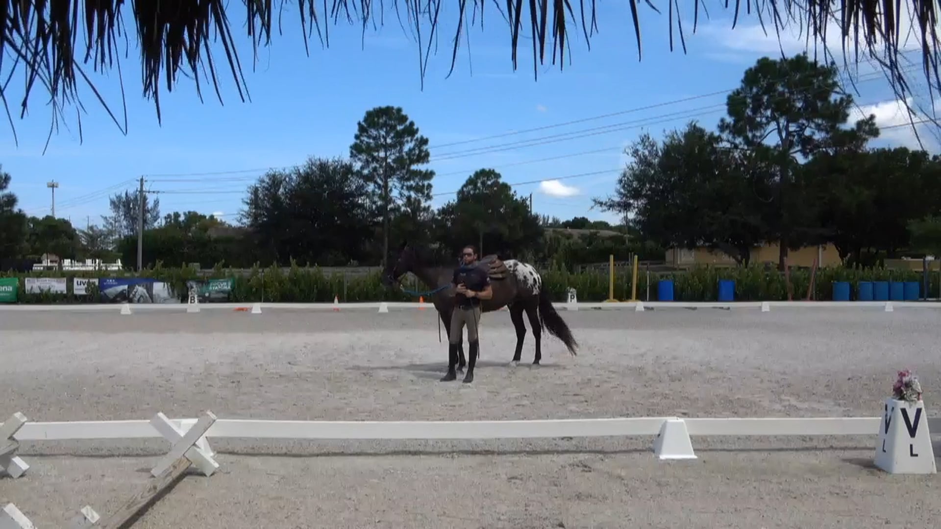 Big Chief Bridging Groundwork to the Saddle 