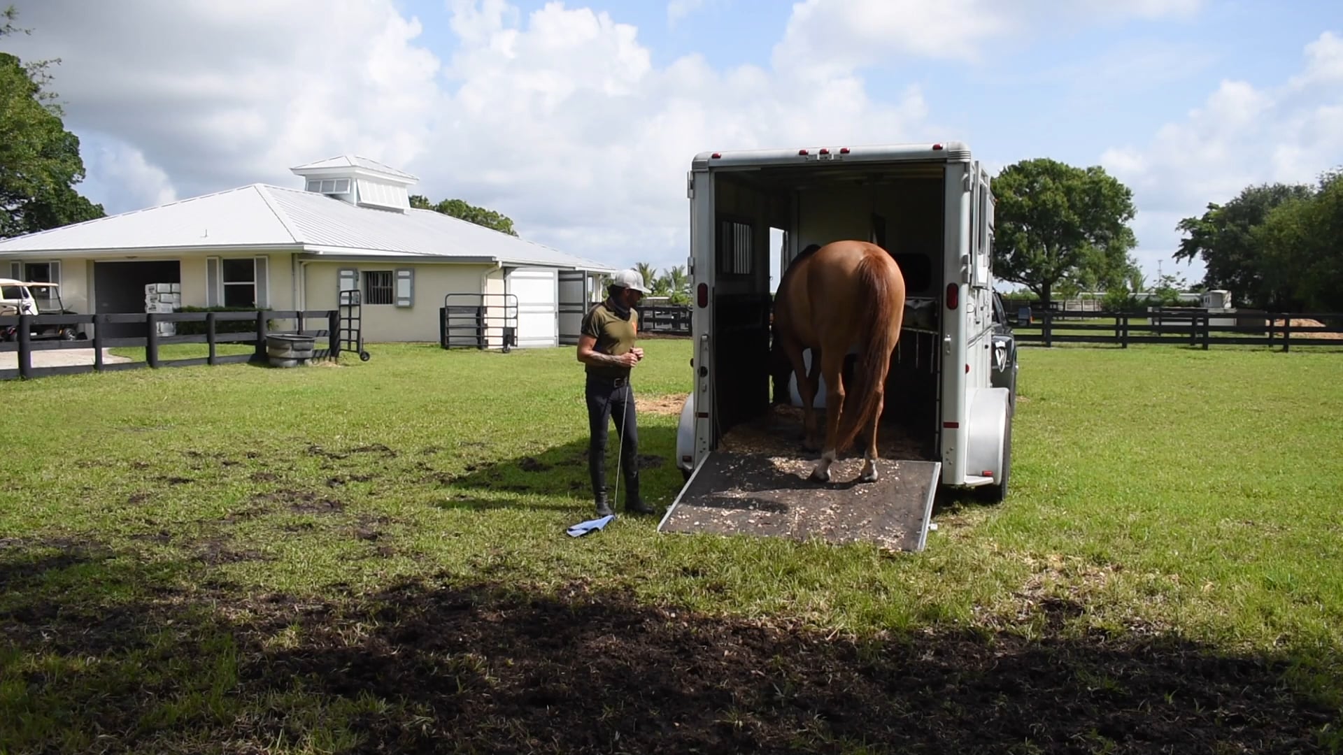 Nervous Horse Trailer loading part 3
