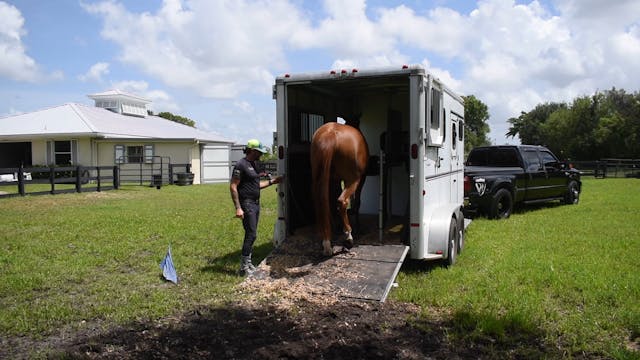 Our Nervous horse becoming more relax...