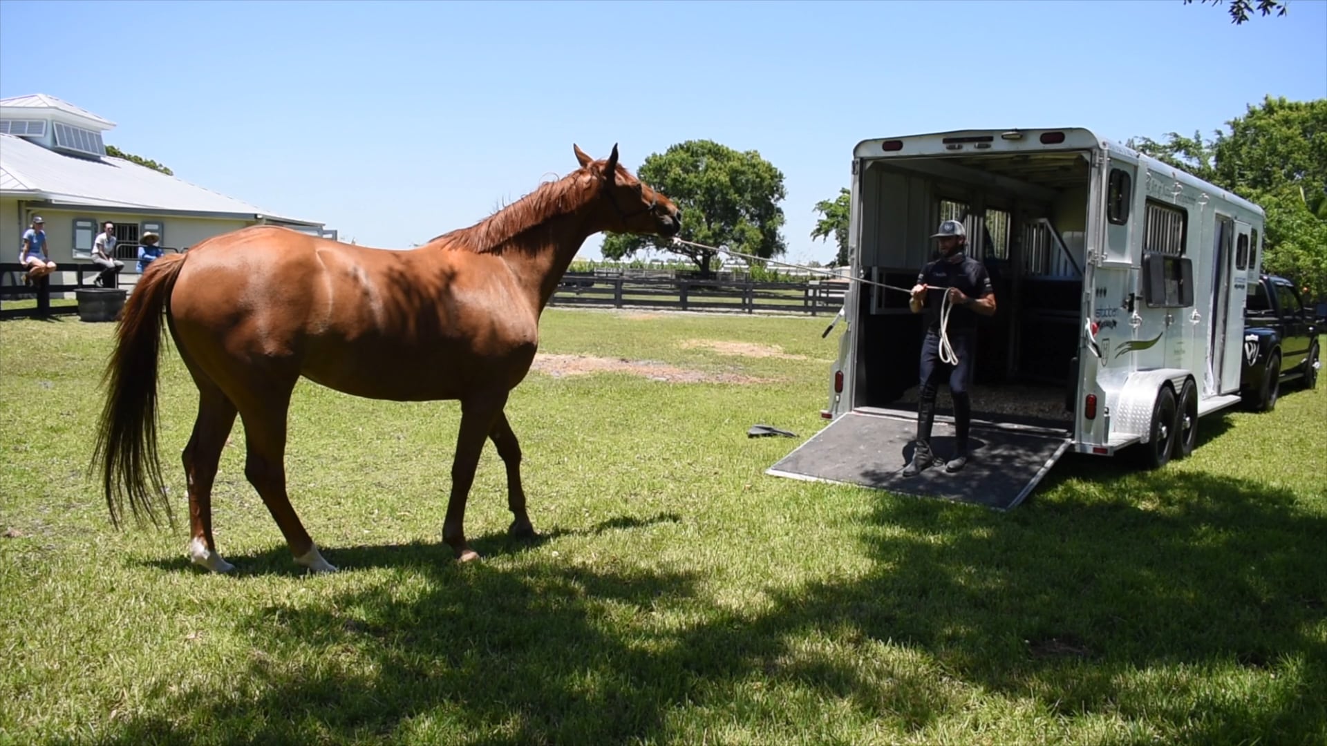 Trailer loading with a nervous horse part 2 