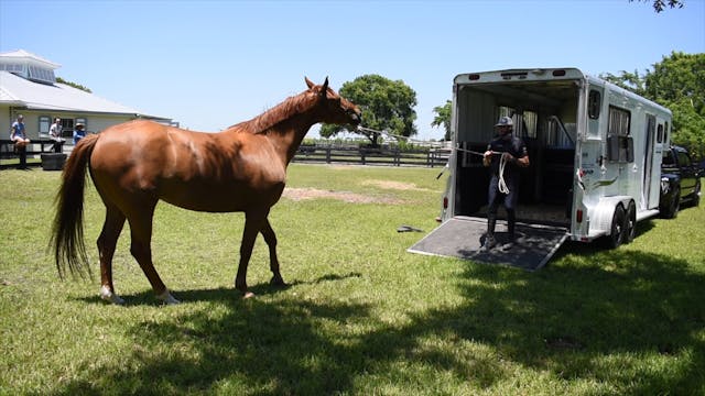 Trailer loading with a nervous horse ...
