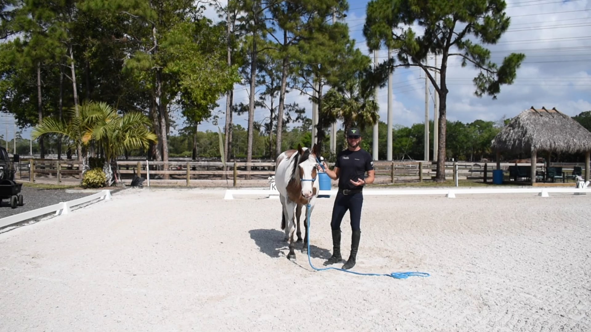 Relaxation and Suppleness Green Horse 