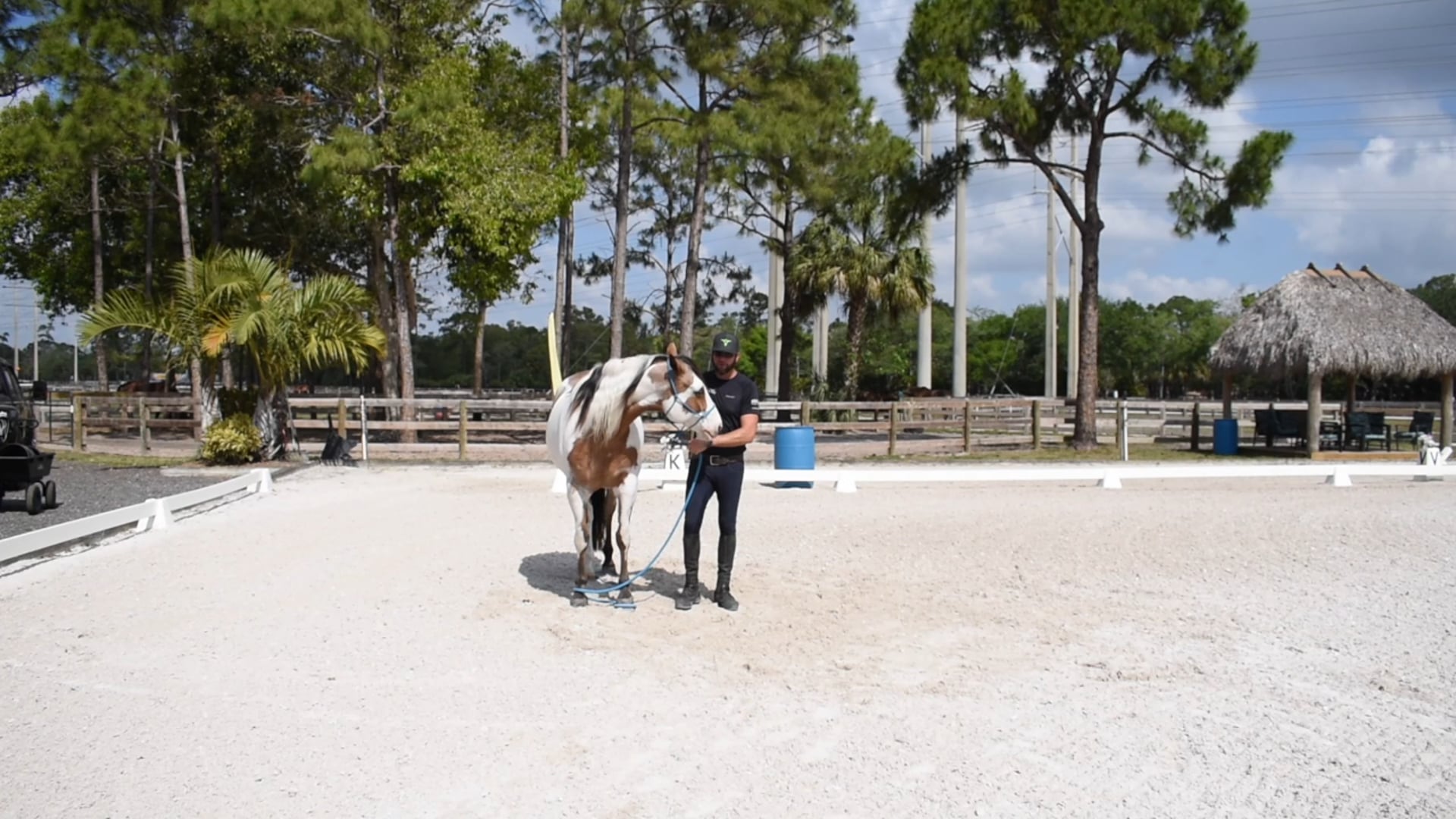 Relaxation and Suppleness Green Horse Part 2 