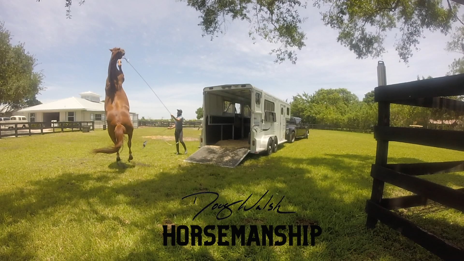 Primero's first day with a bridle