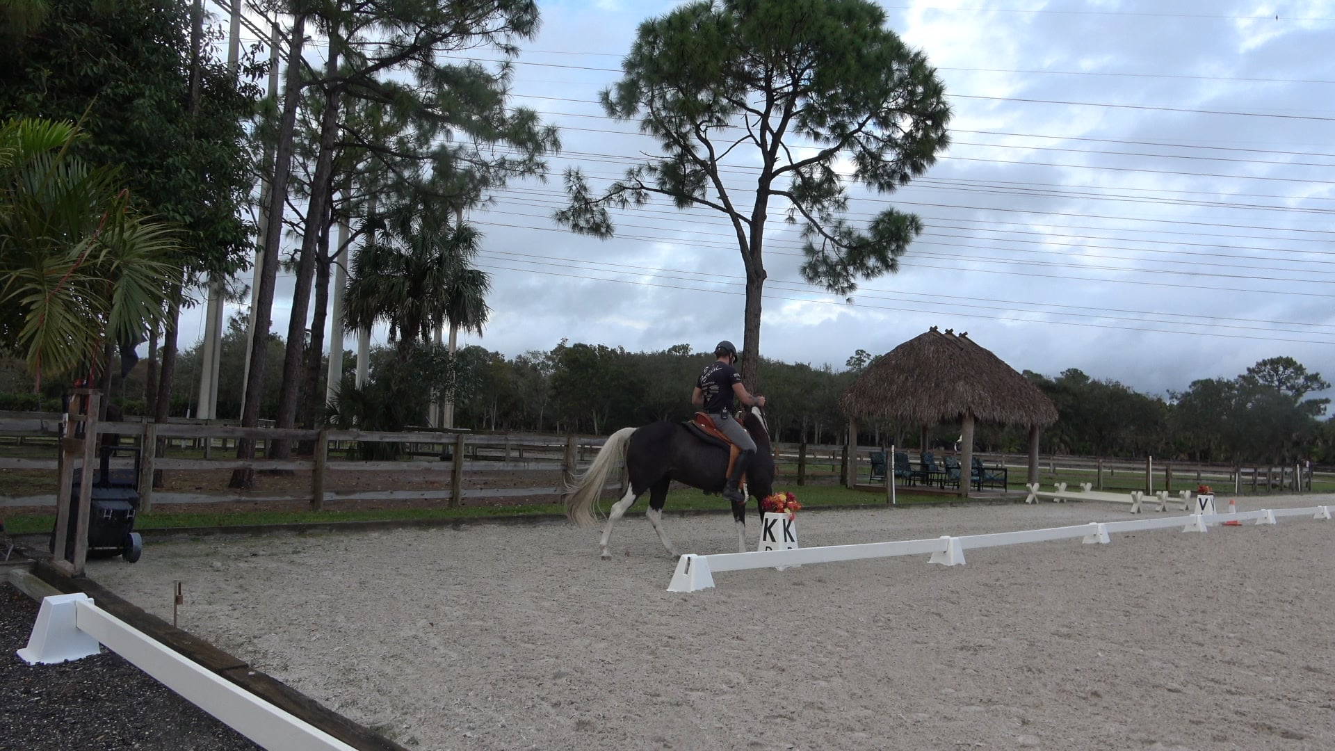 Heard bound issues with Misty part 2