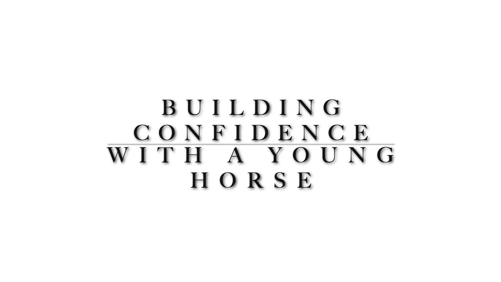 Sierra's Journey with her owner