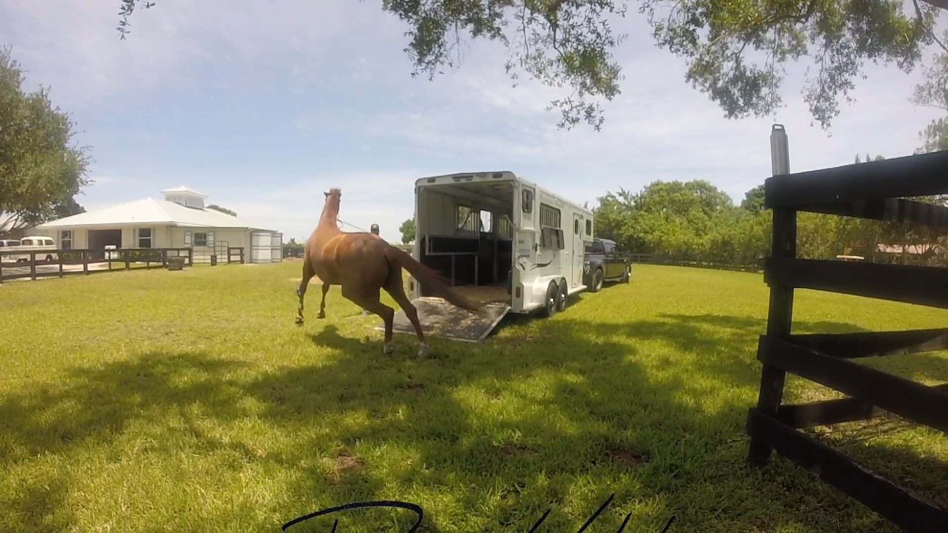 Coco's Journey Part 4