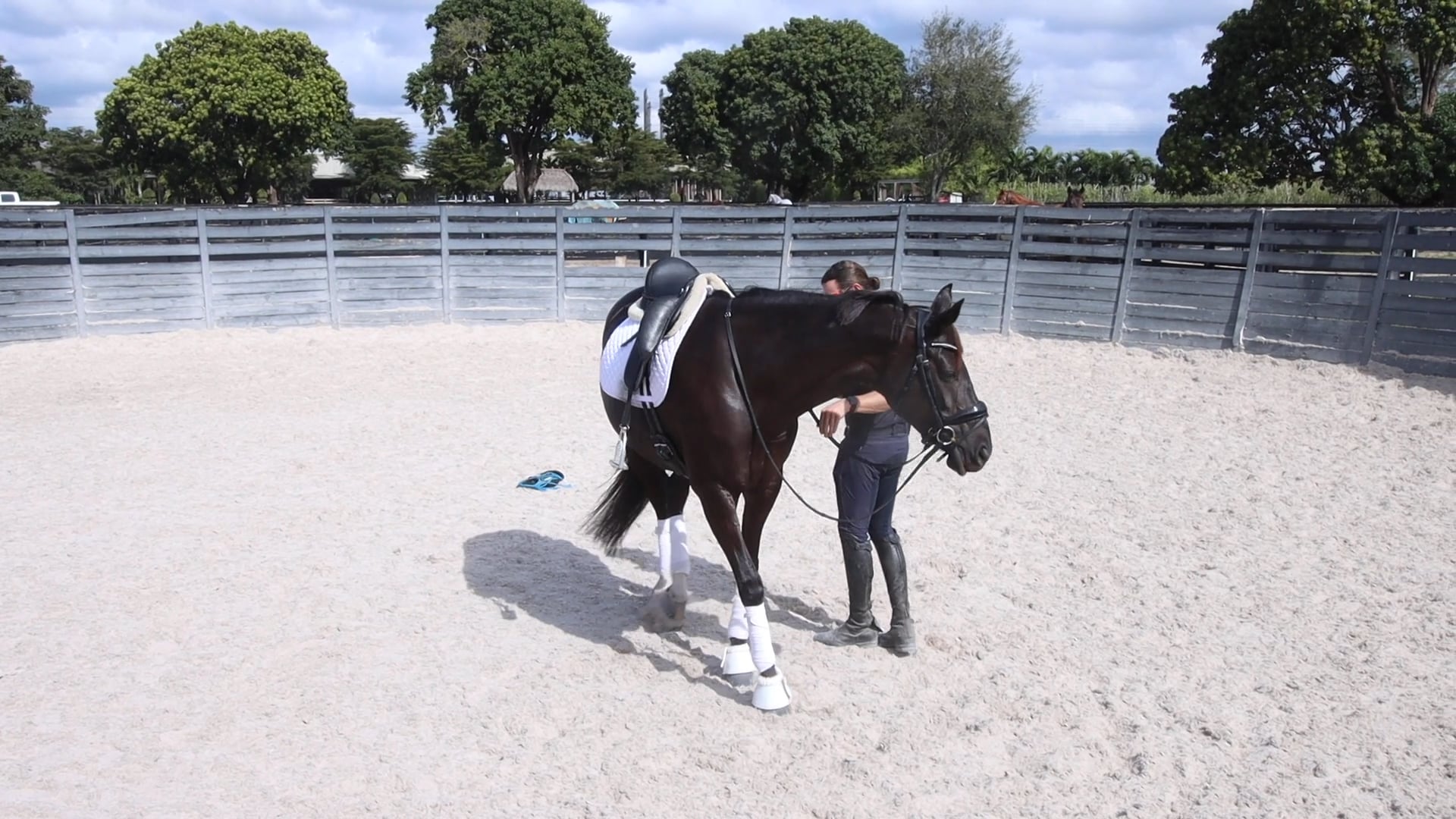 Coco's Journey Part 2