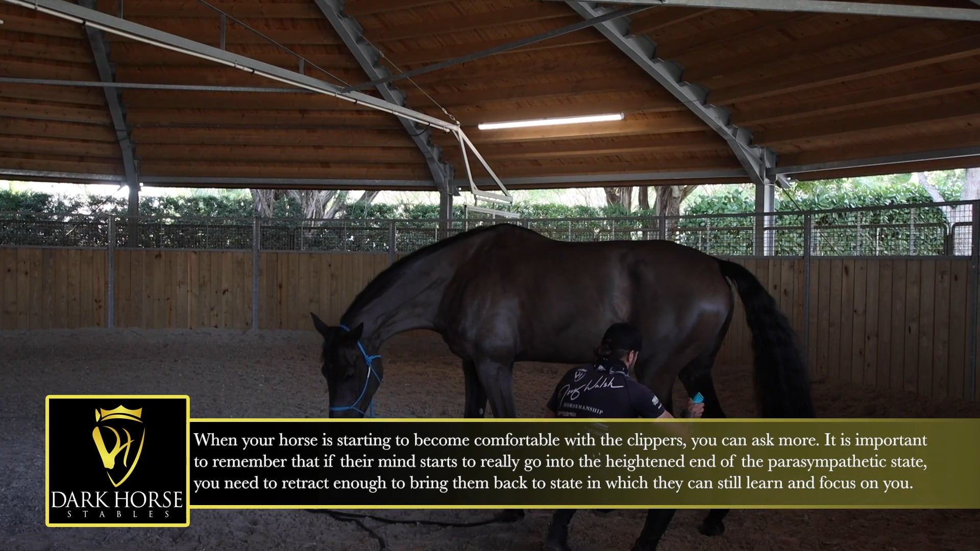 Special Continues to Become more Trusting While Asking Questions