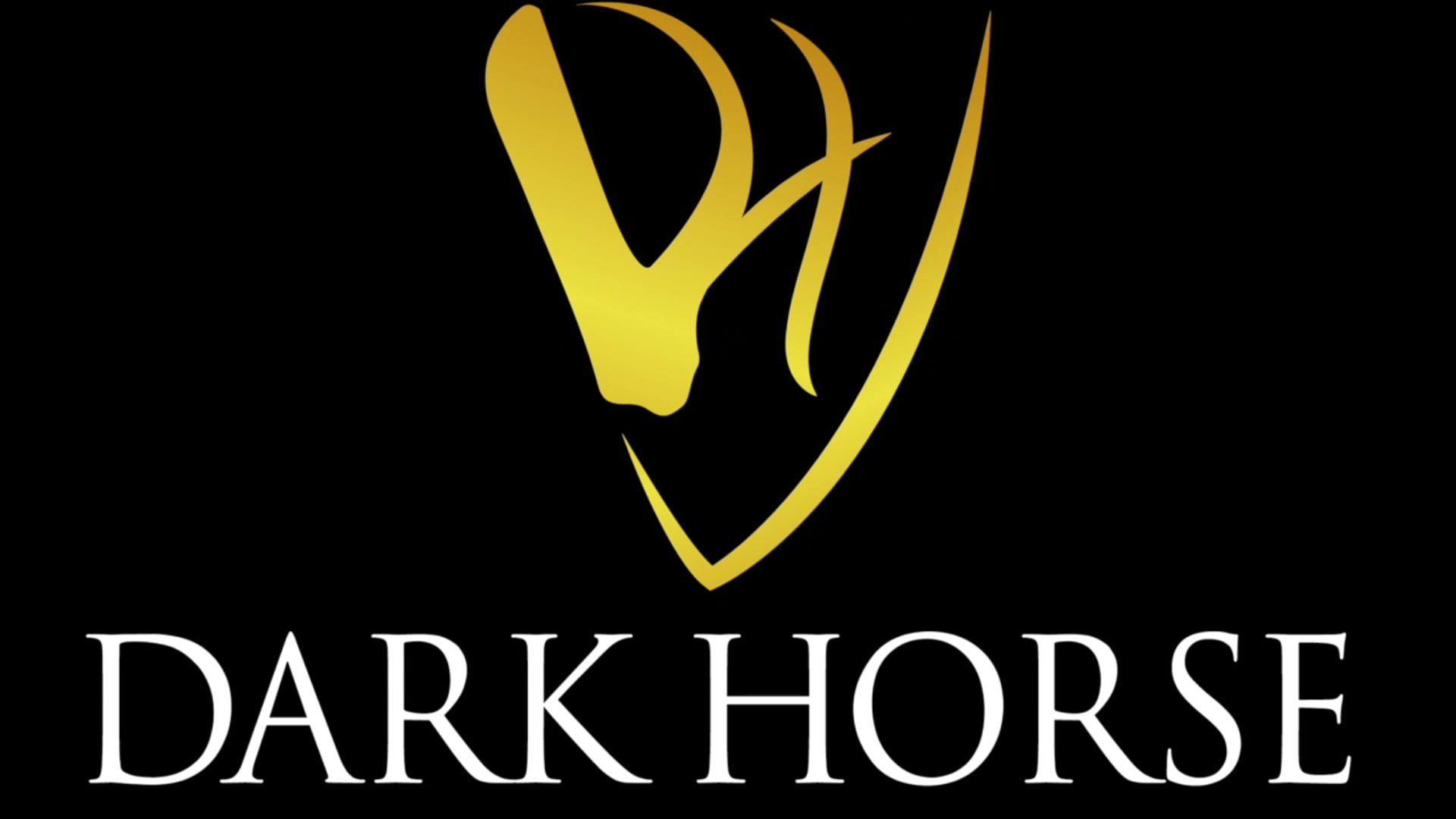 Cavalia building confidence part 6