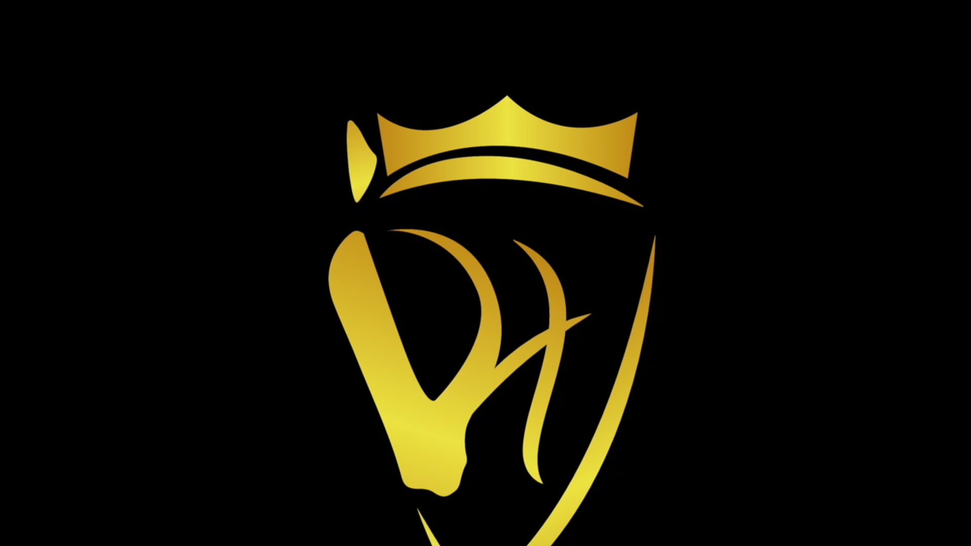 Primero 3 Weeks Under Saddle Trot Work