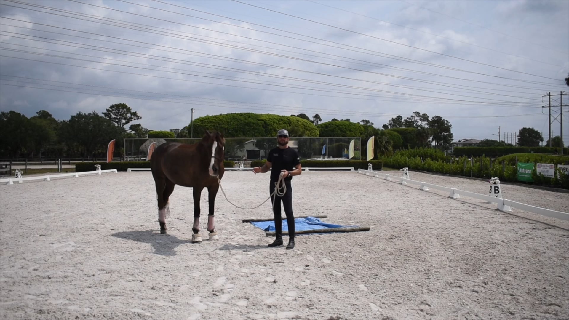 Cavalia building confidence part 3