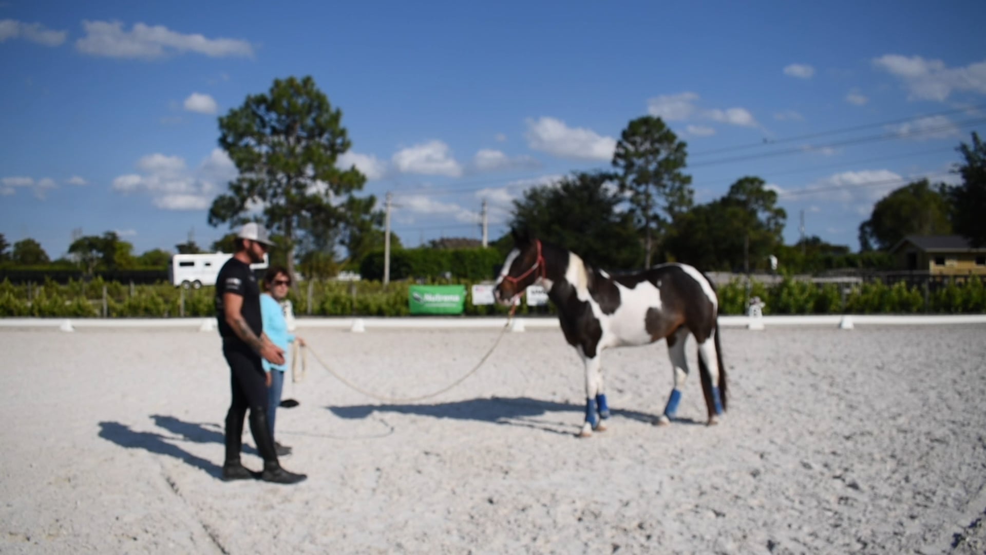 Cherry and Sierra backing part 2