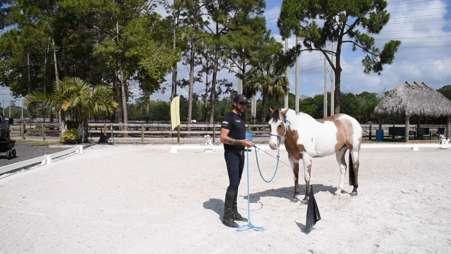 Trust with Tools Green Horse