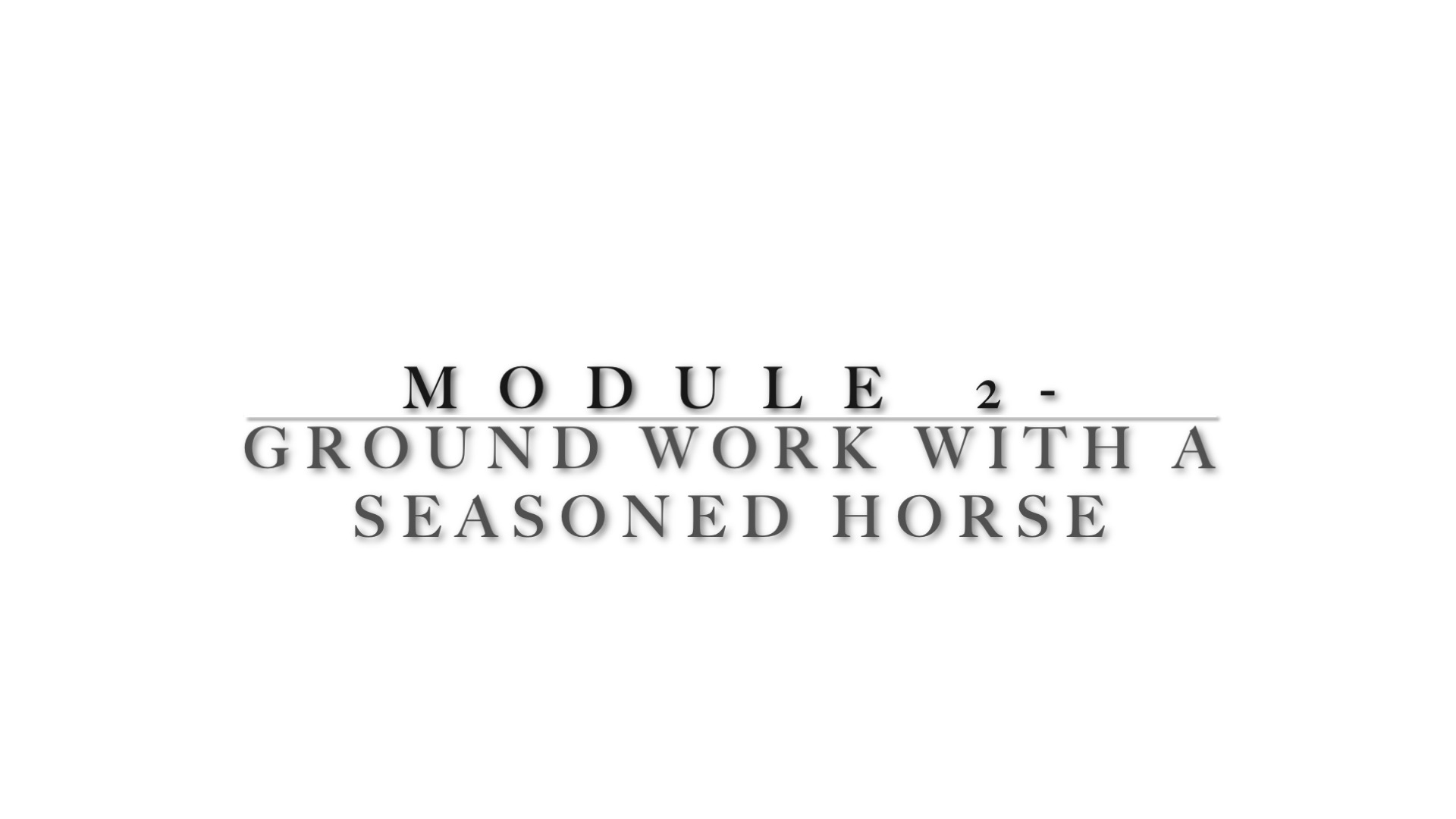 Module 2 - Ground work and it's importance before we saddle (Advanced Horse)