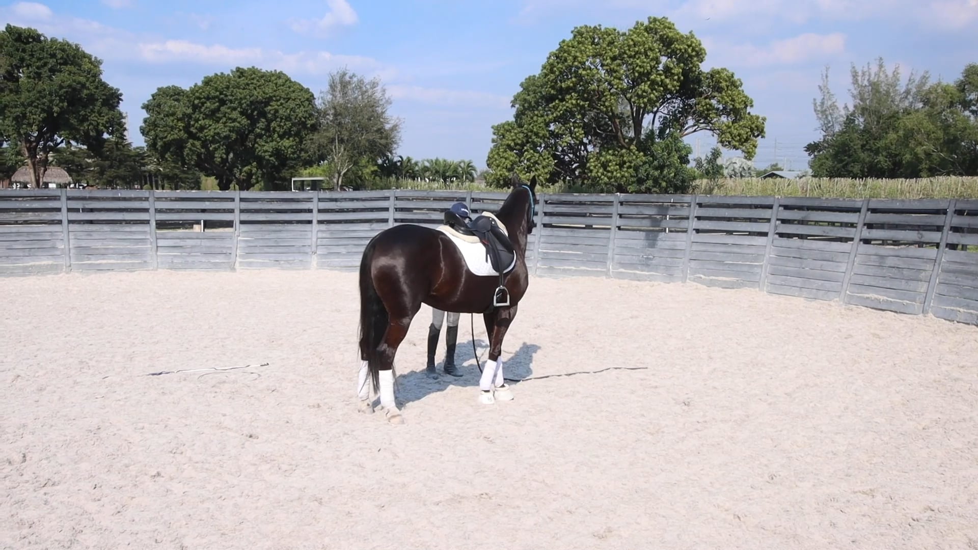 Coco's Journey part 3