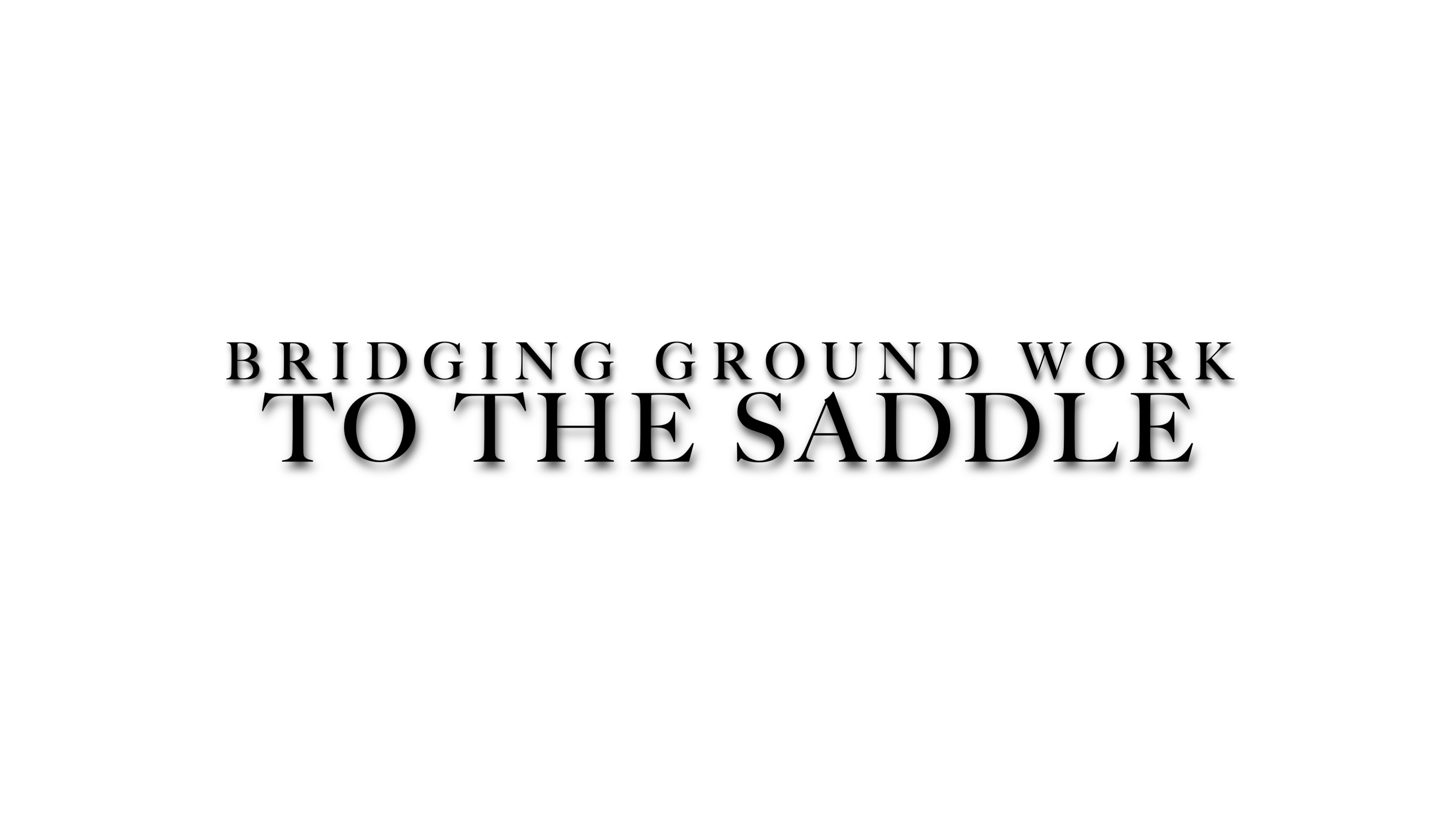 Module 3 - Connecting ground training to the saddle