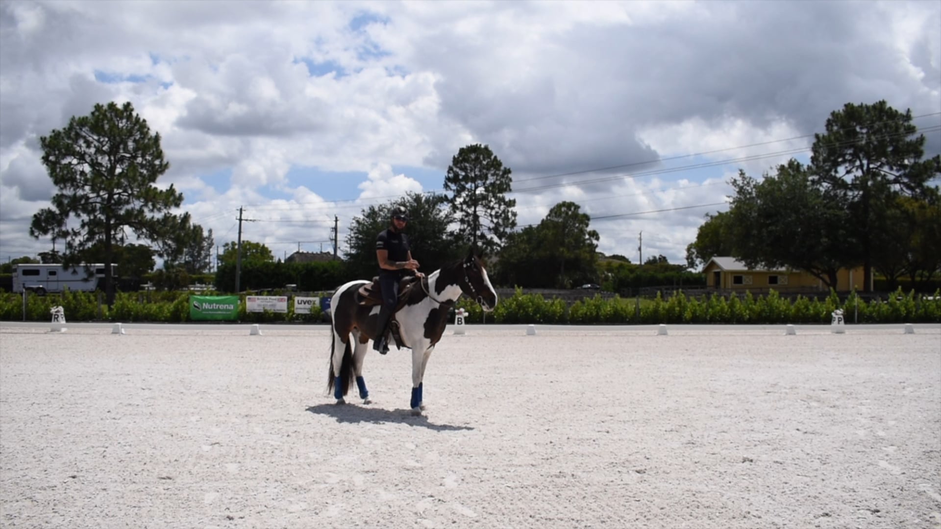 Transferring ground work to under saddle with Sierra 