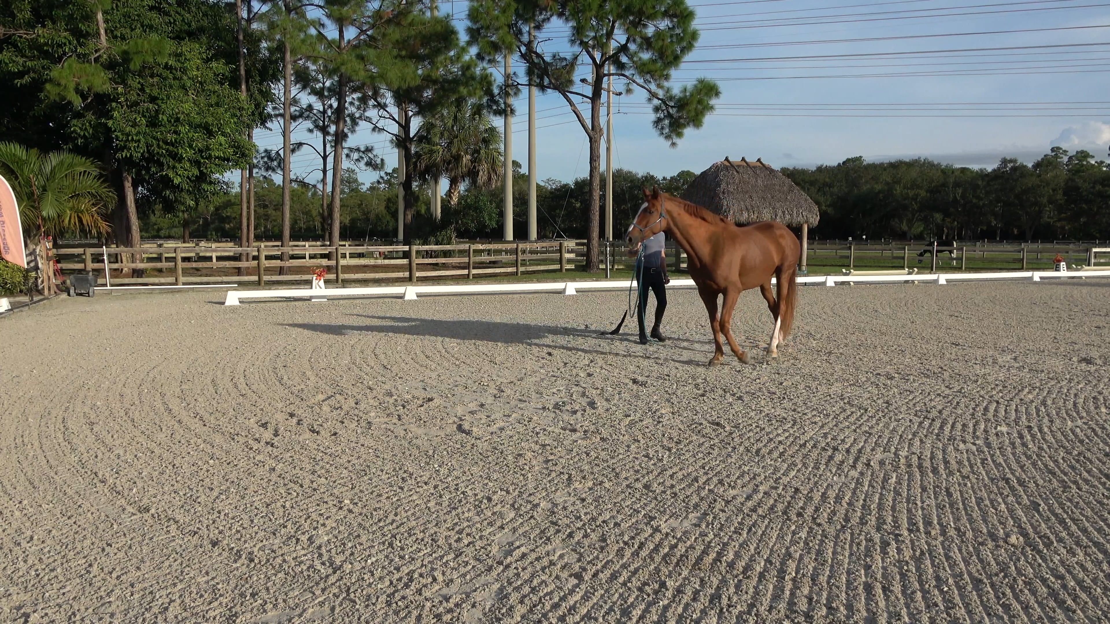 Raya's Journey Part 2