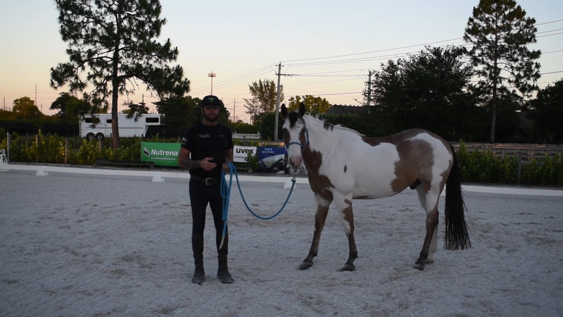 Your Energy with Your Horse 