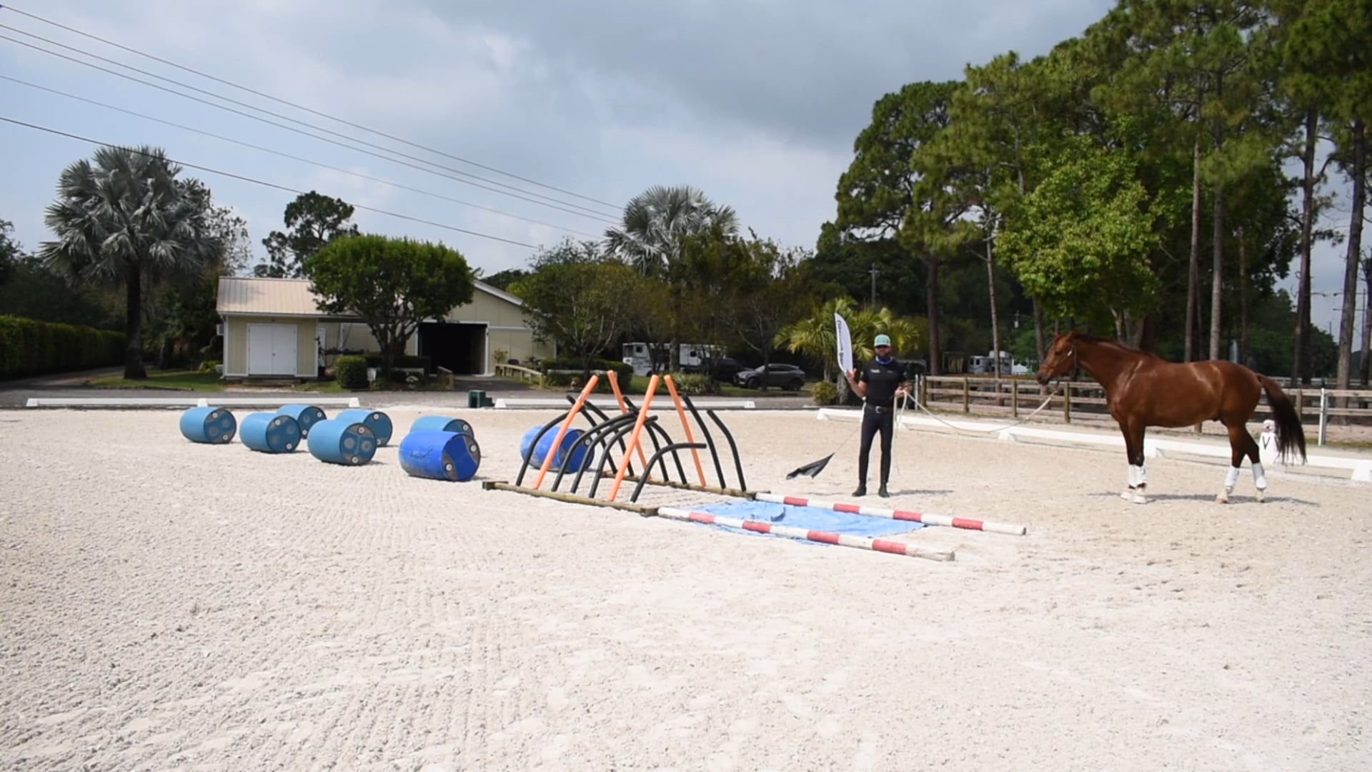 J'Adore - Confidence on the ground 