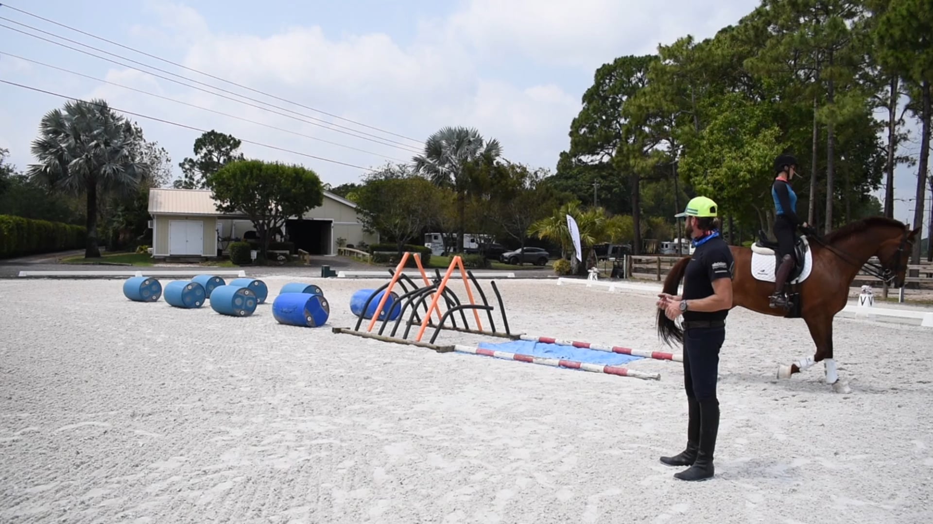 Jessica under saddle walk, trot 