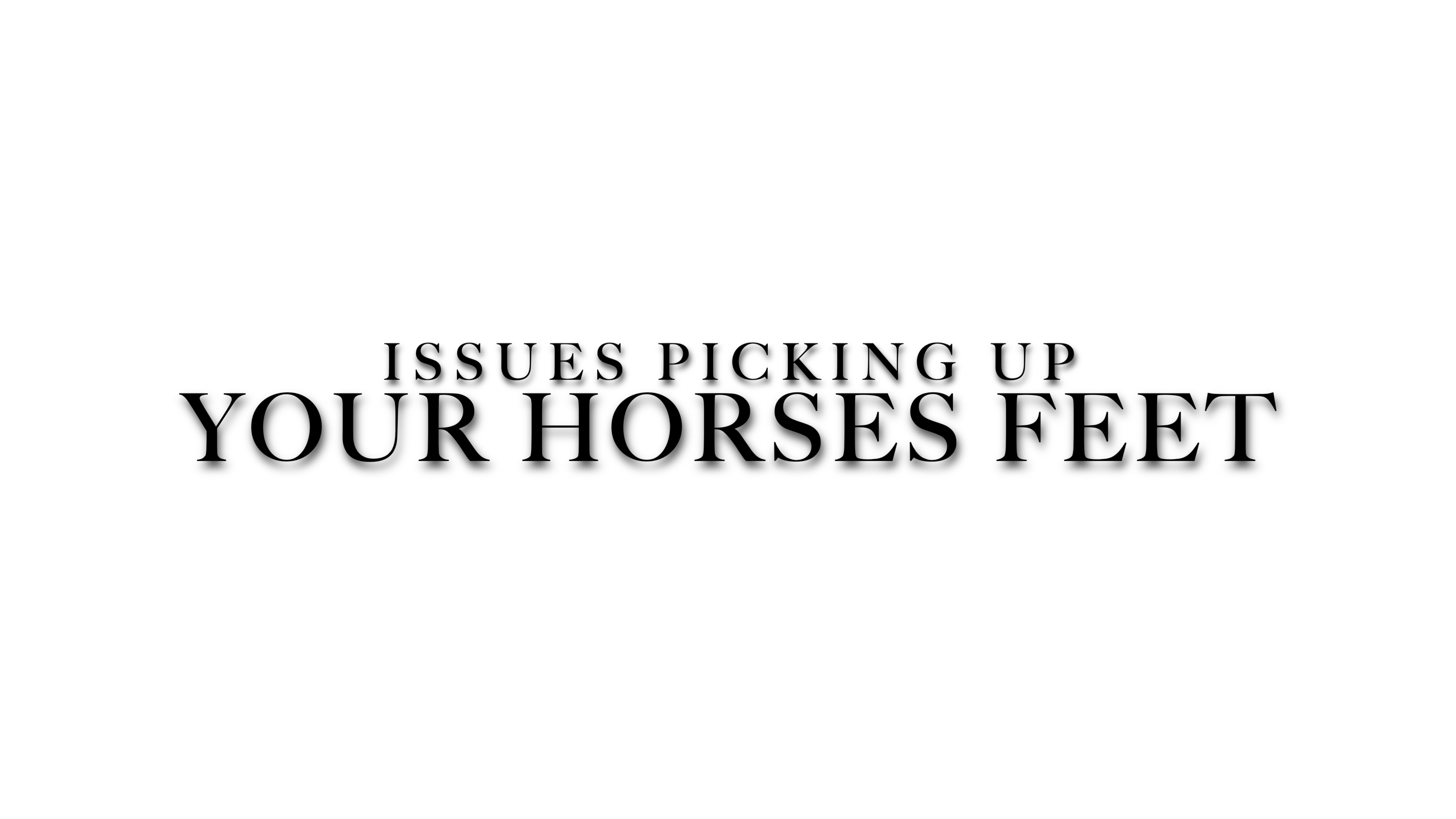 Working with horses that will not pick up their feet