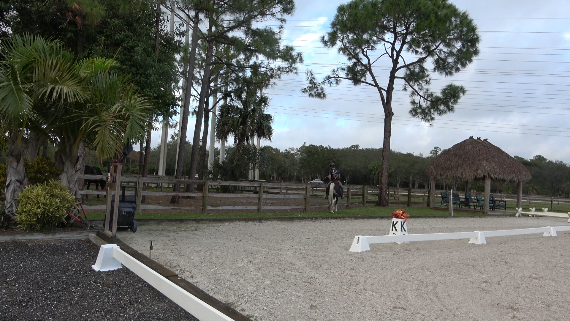 Heard Bound Issues with Misty 