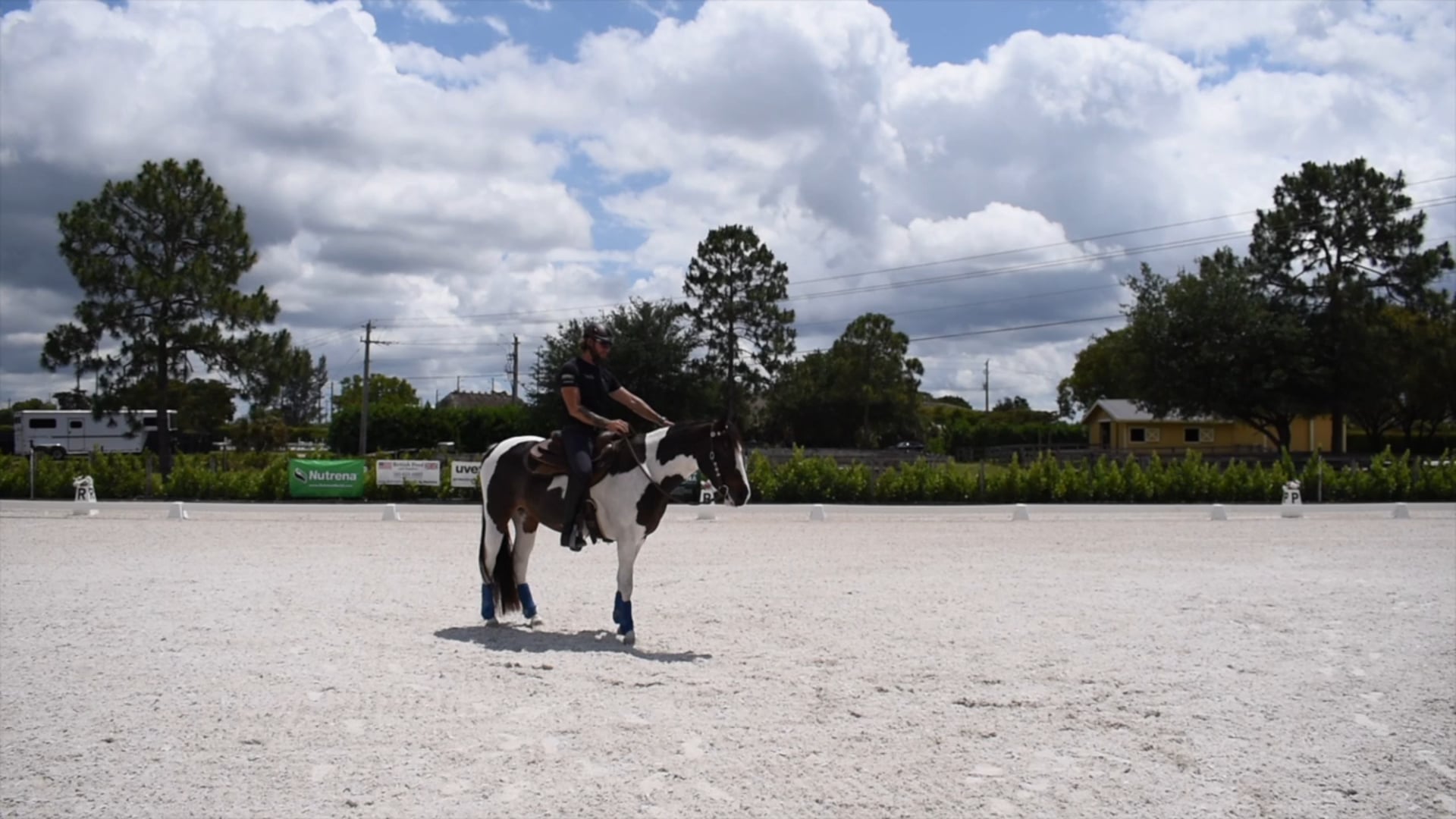 Sierra Learning to mover her hind and forehand independently 