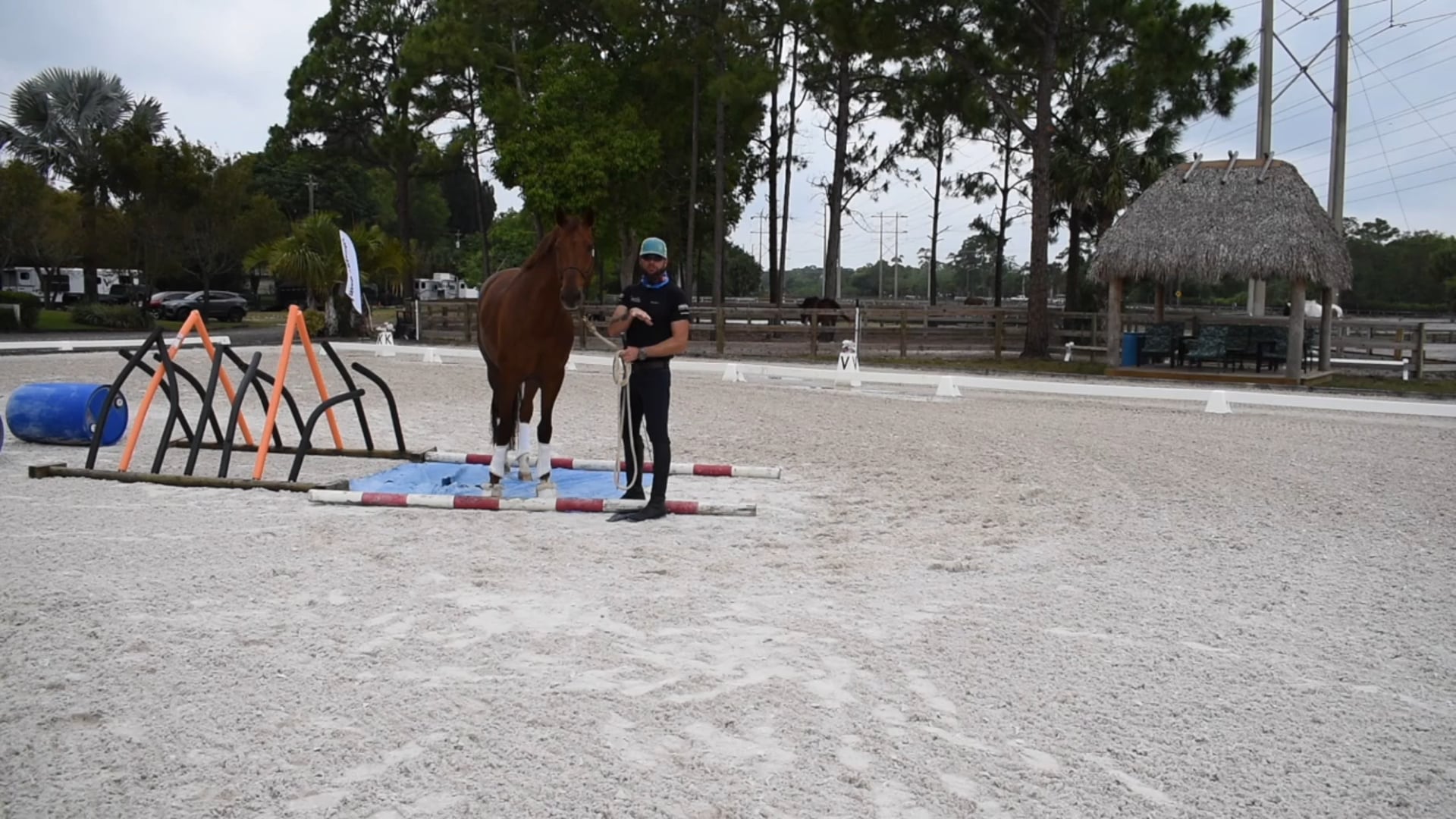 J'Adore ground work with the tarp