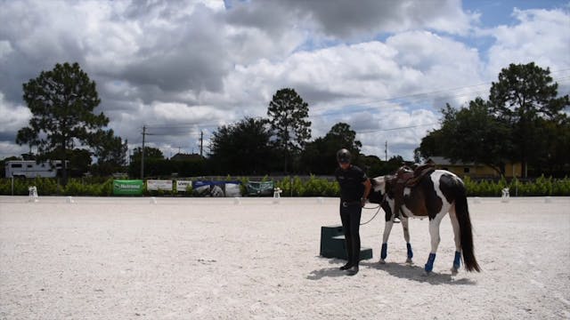 Sierra learning patience while mounting 