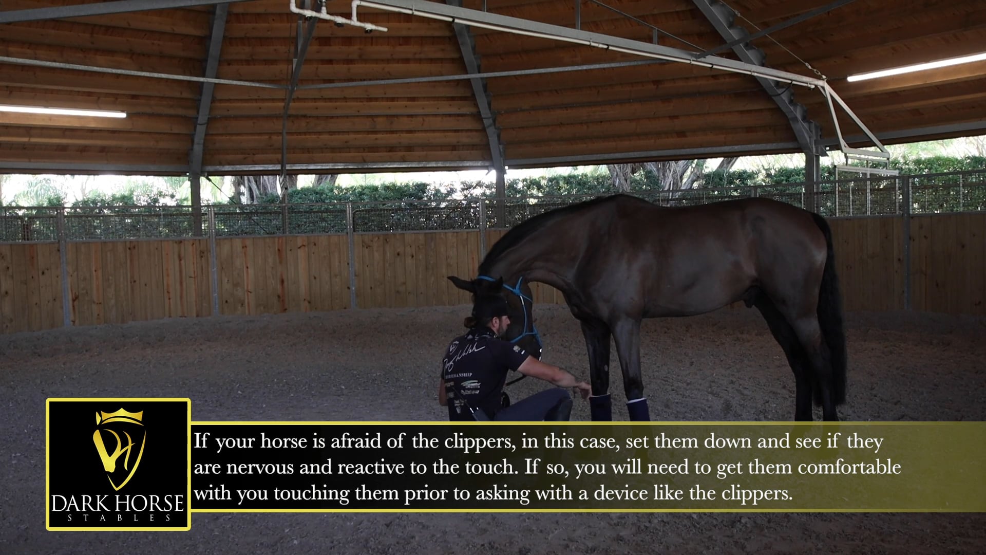 Special Continues to Learn about the Clippers