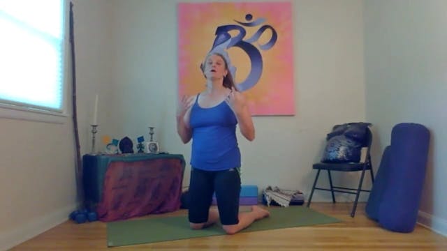 Prenatal: Chapter 6.2 • Diastasis Rec...