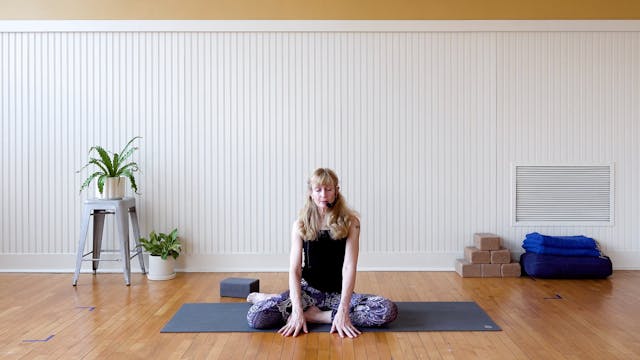 Feldenkrais: Hip Fluidity • Didi Von ...